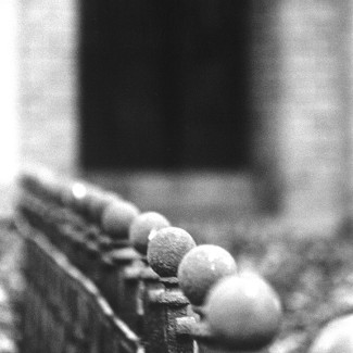 Fotografie Schwarzweiß Friedhof Kiel Südfriedhof