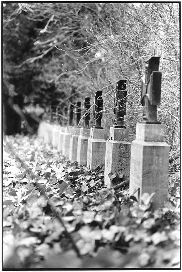Fotografie Schwarzweiß Friedhof Braunschweig