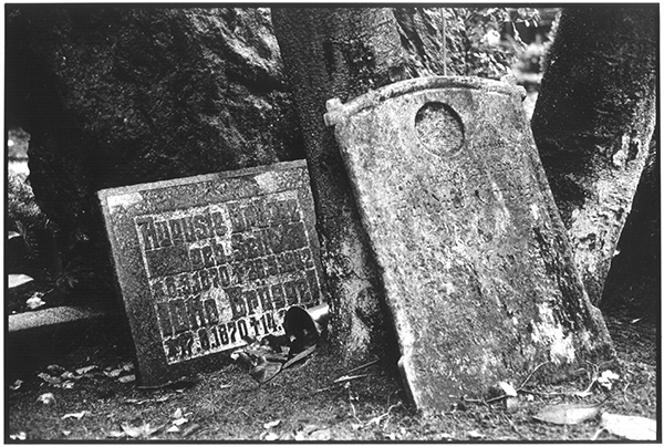 Fotografie Schwarzweiß Friedhof Kiel Südfriedhof Gruft Grab Grabplatten
