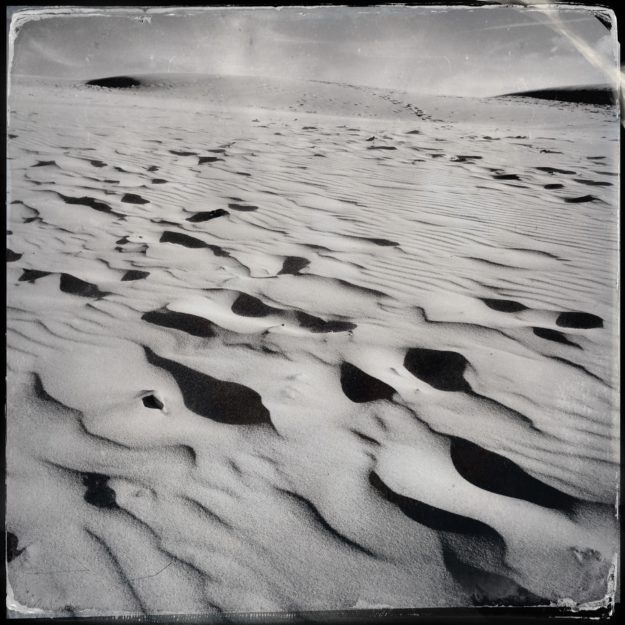 Wanderdüne in Nord-Dänemark Råbjerg Mile