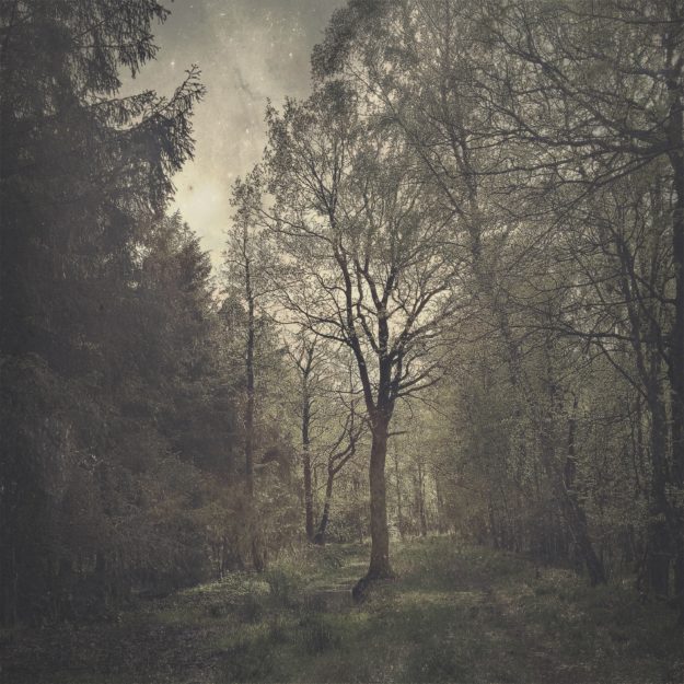 Hipstography Combo #530 Hipstography Combo #530