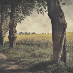 Hipstamatic Foto einer Alle vor Rapsfeld