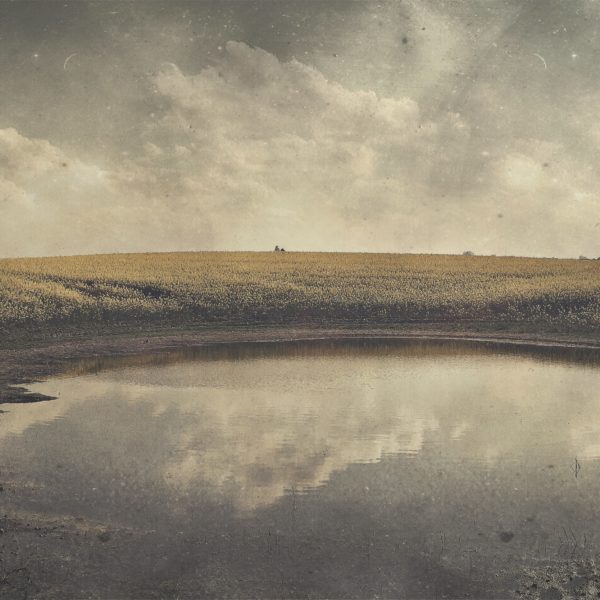 Hipstamatic Foto von Raps in Schleswig-Holstein