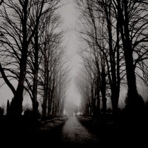 Hipstamatic Foto Friedhof Holtenau